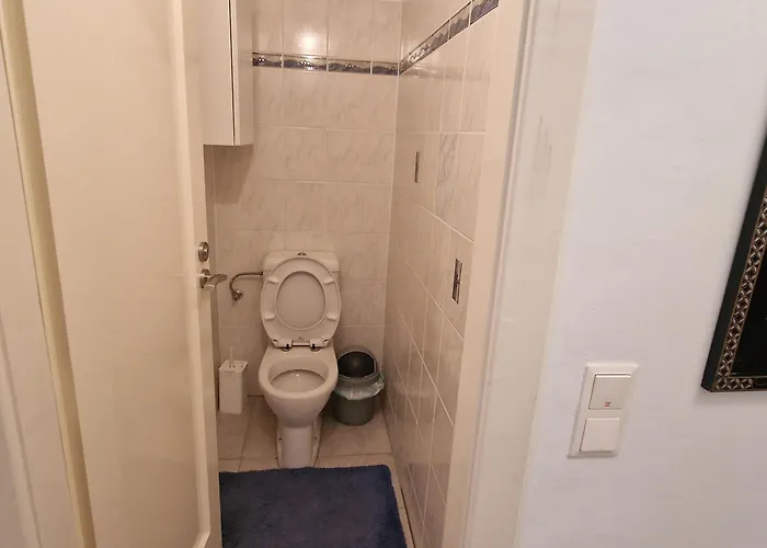 Апартаменти Exclusive Serviced Flat On Taborstrasse Відень